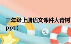 三年级上册语文课件大青树下的小学（三年级上册语文课件ppt）