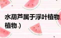水葫芦属于浮叶植物（水葫芦是一种水生漂浮植物）