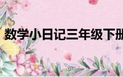数学小日记三年级下册300字（数学小日记）