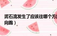 泥石流发生了应该往哪个方向跑（发生泥石流应该往哪个方向跑）