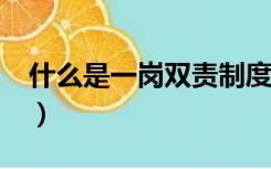 什么是一岗双责制度?（什么是一岗双责制度）