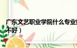 广东文艺职业学院什么专业好（广东文艺职业学院怎么样好不好）