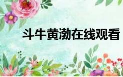 斗牛黄渤在线观看（斗牛黄渤完整版）