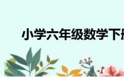 小学六年级数学下册教学计划(西师版)