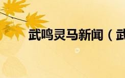 武鸣灵马新闻（武鸣灵水论坛首页）