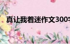 真让我着迷作文300字（真让我着迷作文）
