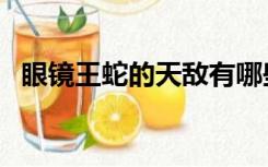 眼镜王蛇的天敌有哪些（蛇的天敌有哪些）