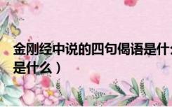 金刚经中说的四句偈语是什么东西（金刚经中说的四句偈语是什么）
