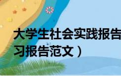 大学生社会实践报告总结3000字（大学生实习报告范文）