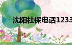 沈阳社保电话12333（沈阳社保电话）