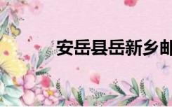 安岳县岳新乡邮编（新乡邮编）