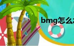 bmg怎么念（bmg）