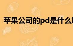 苹果公司的pd是什么职位（pd是什么职位）