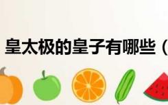 皇太极的皇子有哪些（皇太极的妃子分别是）