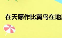在天愿作比翼鸟在地愿为连理枝什么意思?