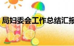 局妇委会工作总结汇报（局妇委会工作总结）