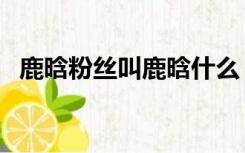 鹿晗粉丝叫鹿晗什么（鹿晗的粉丝叫什么）