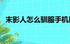 末影人怎么驯服手机版（末影人怎么驯服）