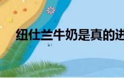 纽仕兰牛奶是真的进口牛奶吗（纽仕兰）