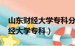 山东财经大学专科分数线2019最低（山东财经大学专科）