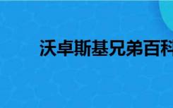 沃卓斯基兄弟百科（沃卓斯基兄弟）