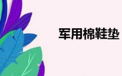 军用棉鞋垫（军用棉鞋）