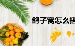 鸽子窝怎么搭建（鸽子窝）