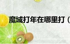 魔域打年在哪里打（魔域打年有啥技巧）