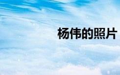 杨伟的照片（杨伟变身）