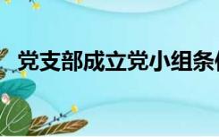 党支部成立党小组条件（党小组成立条件）