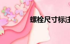 螺栓尺寸标注（螺栓尺寸）