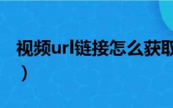 视频url链接怎么获取（视频url地址怎么获取）