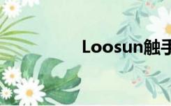 Loosun触手小游戏大全