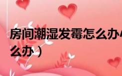 房间潮湿发霉怎么办小妙招（房间潮湿发霉怎么办）