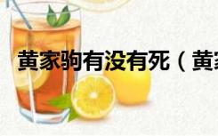 黄家驹有没有死（黄家驹死后多少人自杀）