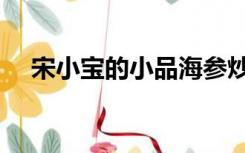 宋小宝的小品海参炒面（宋小宝的小品）