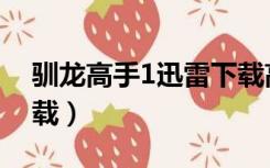 驯龙高手1迅雷下载高清（驯龙高手1迅雷下载）