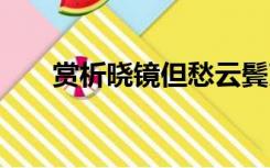 赏析晓镜但愁云鬓改,夜吟应觉月光寒