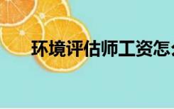 环境评估师工资怎么样（环境评估师）
