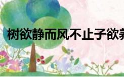 树欲静而风不止子欲养而亲不待意思是什么