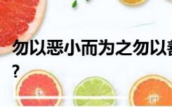 勿以恶小而为之勿以善小而不为的意思是什么?