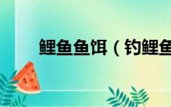鲤鱼鱼饵（钓鲤鱼用什么饵料最好）