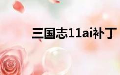 三国志11ai补丁（三国志11补丁）