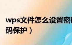 wps文件怎么设置密码保护（文件怎么设置密码保护）