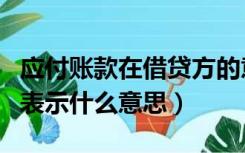 应付账款在借贷方的意思（应付账款的借贷方表示什么意思）