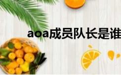 aoa成员队长是谁（AOA成员介绍）