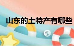 山东的土特产有哪些（山东土特产有哪些）