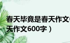春天毕竟是春天作文600字数（春天毕竟是春天作文600字）