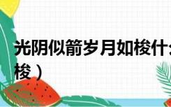 光阴似箭岁月如梭什么意思（光阴似箭岁月如梭）