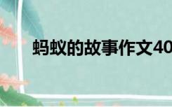蚂蚁的故事作文400字（蚂蚁的故事）